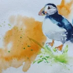 Beginners Watercolour: Christmas Puffin