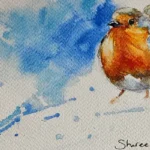 Beginners watercolour: Robin Redbreast