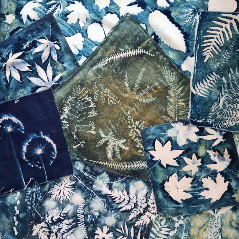 Botanical Blueprints: Exploring Cyanotype Photography and Fabric Art
