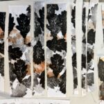 Patterns in the Garden: Natural Forms and the Artist Book