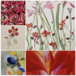 Flowers Between Nature and Imagination