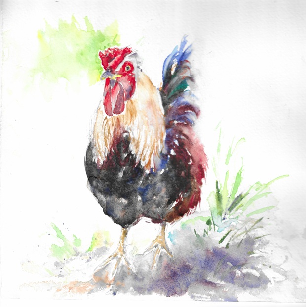 Paint a Rooster: Let Your Colours Crow