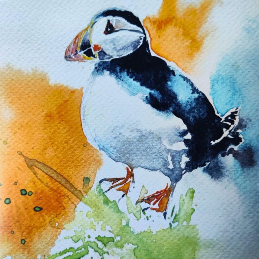 Paint a Puffin