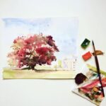 Autumn Trees & Seasonal Colour