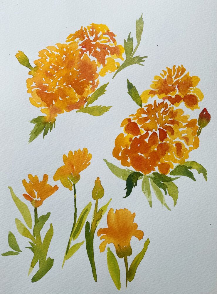 Floral Watercolour Weekend